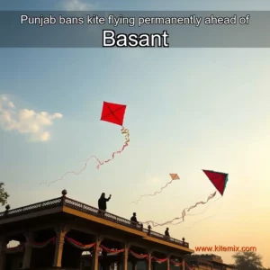 Read more about the article Punjab bans kite flying permanently ahead of Basant