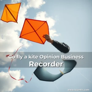 Read more about the article Go fly a kite  Opinion  Business Recorder